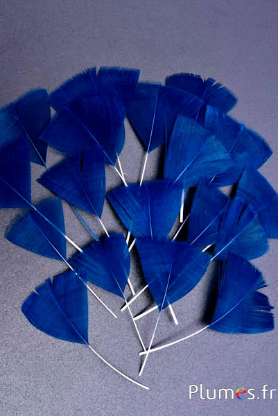 Pétales en plumes - 6-8 x 3-4 cm - bleu nuit